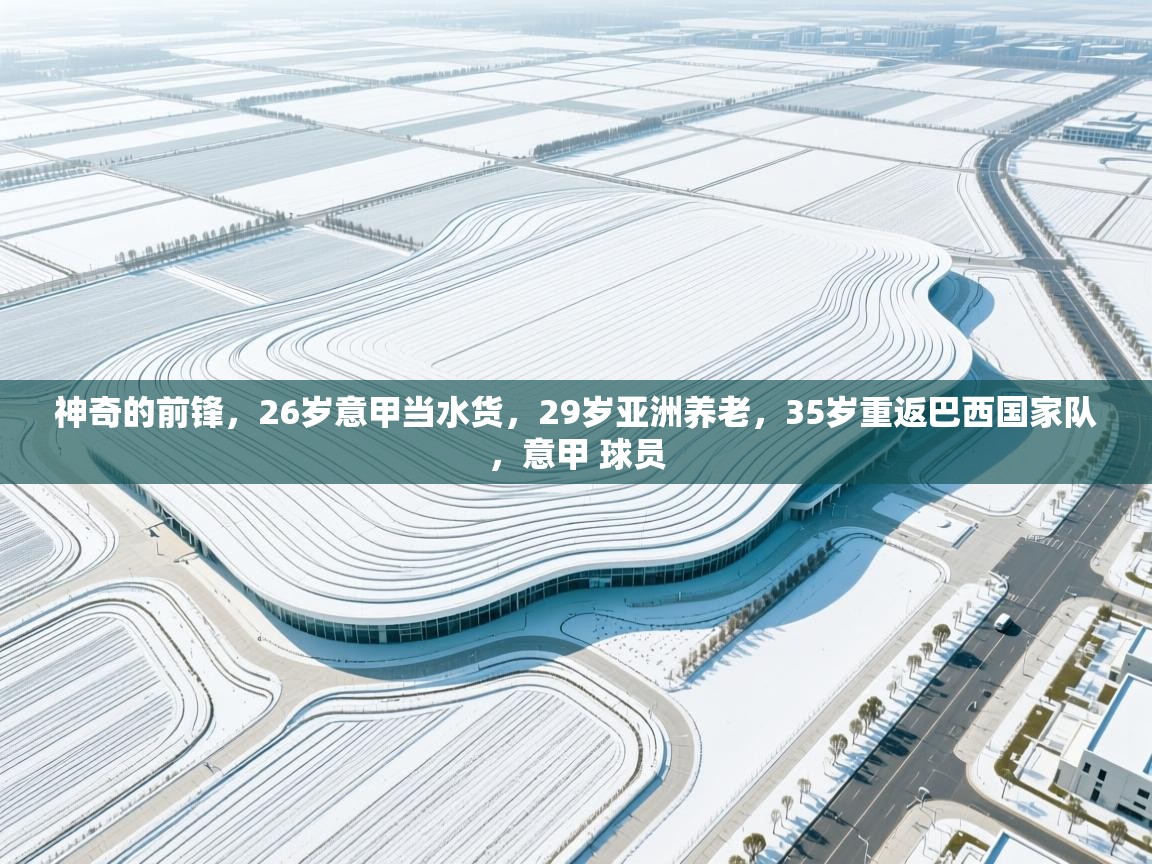 神奇的前锋,26岁意甲当水货,29岁亚洲养老,35岁重返巴西国家队,意甲 球员 第1张